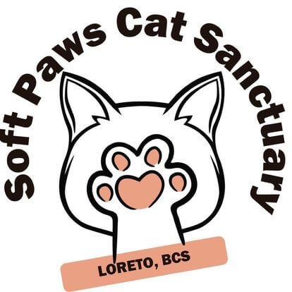 SOFT PAWS CAT SANCTUARY, LORETO, BCS